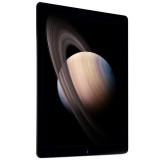 Apple iPad Pro 4G Tablet - 128GB